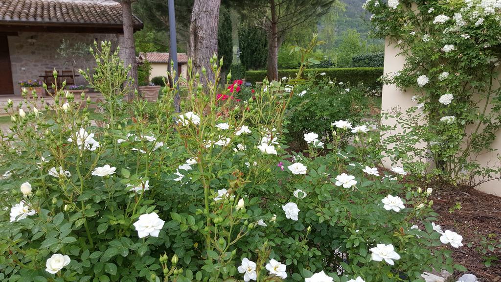 Agriturismo I Terzieri Ferentillo Exterior foto